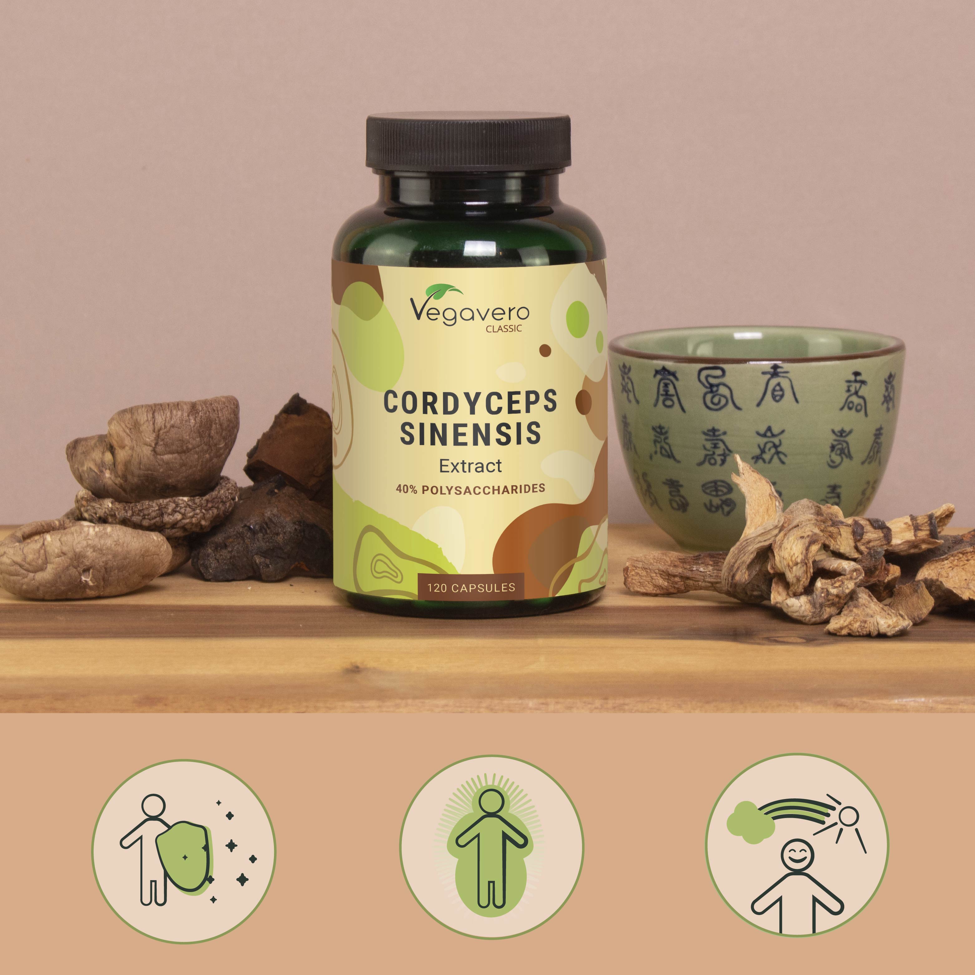 Cordyceps Sinensis Extrait Gélules