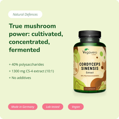 Cordyceps Sinensis Extrait Gélules