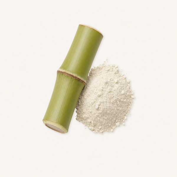 Extrait de Bambou (Bambusa arundinacea) 70% Silice BIO