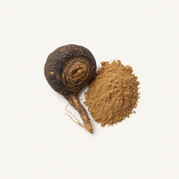Extrait de Maca Noire 0,6 % de macamides et macaènes
