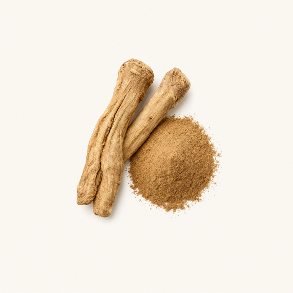Extrait de racine de chicorée (Cichorium intybus var. sativum) 2 % flavones