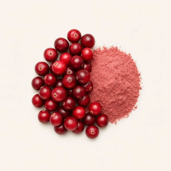 Extrait de fruit de canneberge 25%