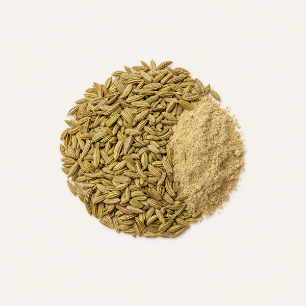 Extrait de fruit de fenouil (Foeniculum vulgare)