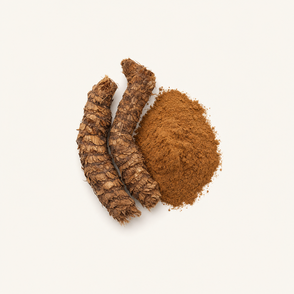 Extrait de rhizome de polypode doré (5 % de berbérine-HCL)