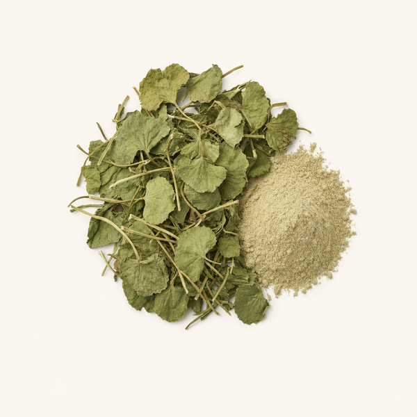 Extrait de partie aérienne de Gotu Kola 2%