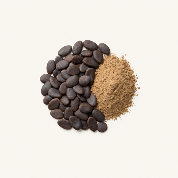 Extrait de graines de Griffonia simplicifolia 20 % 5-HTP (HPLC)