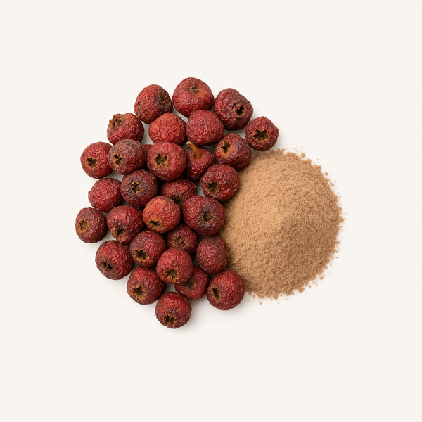Extrait d’Aubépine Bio 1,5 % Flavones