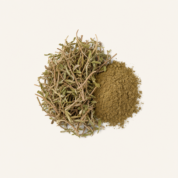 Extrait de parties aériennes de Epilobium parviflorum (2 % flavones UV)