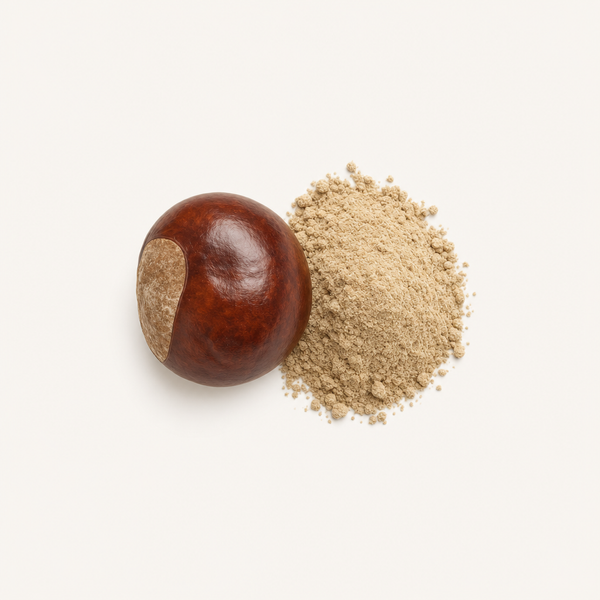 Extrait de graine de marronnier d'Inde 4-6% BIO