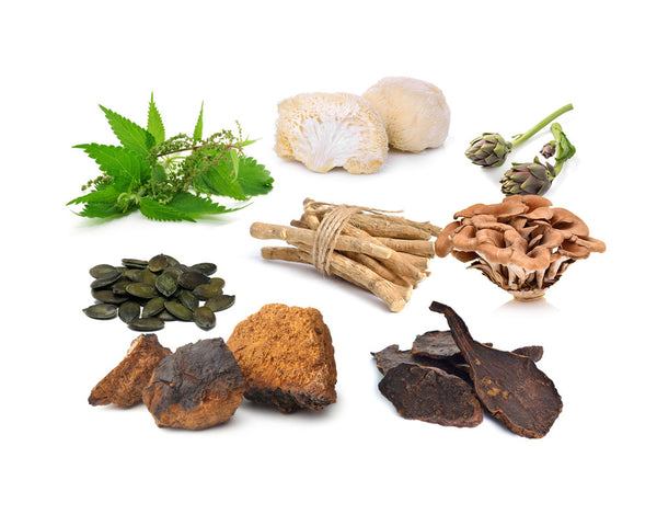 Papaya Fruit Extract BIO