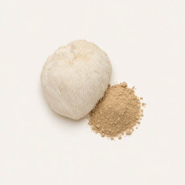 Hericium 30 % Polysaccharides
