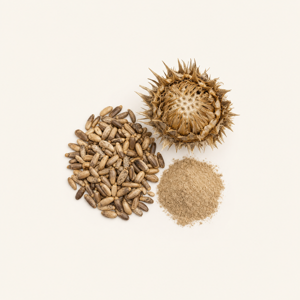 Extrait de fruit de chardon-Marie 80%