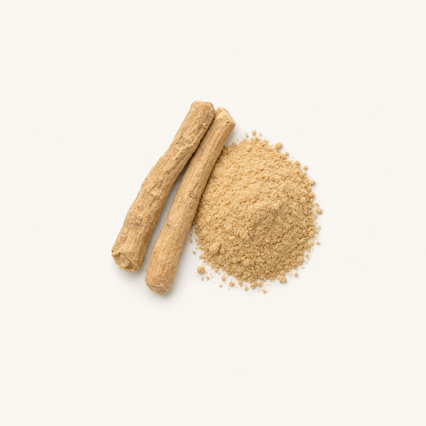 Extrait de racine d'Ashwagandha KSM-66® biologique (Withania somnifera)