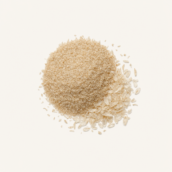 Poudre de tégument de psyllium biologique
