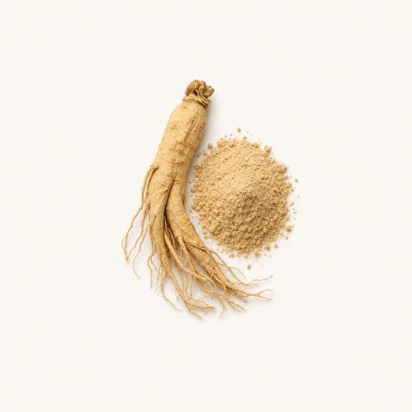 Mélange d’Extrait de Panax Ginseng (20 % Ginsénosides)