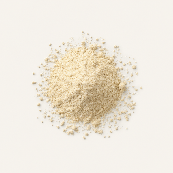 Protéase d'Aspergillus Oryzae (100 000 HUT/g)