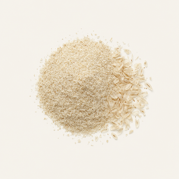 Poudre de tégument de psyllium