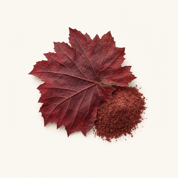 Extrait de feuille de vigne rouge 3-5% BIO