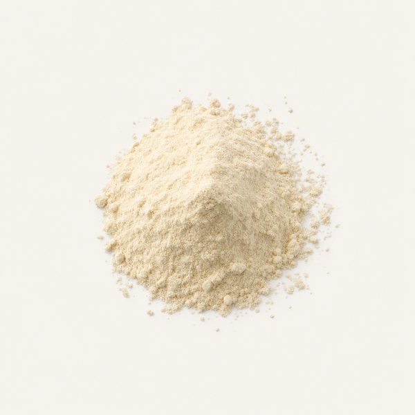 Poudre de protéine de riz