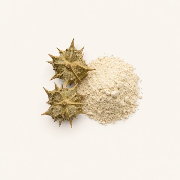 Extrait de Tribulus Terrestris 90 % saponines