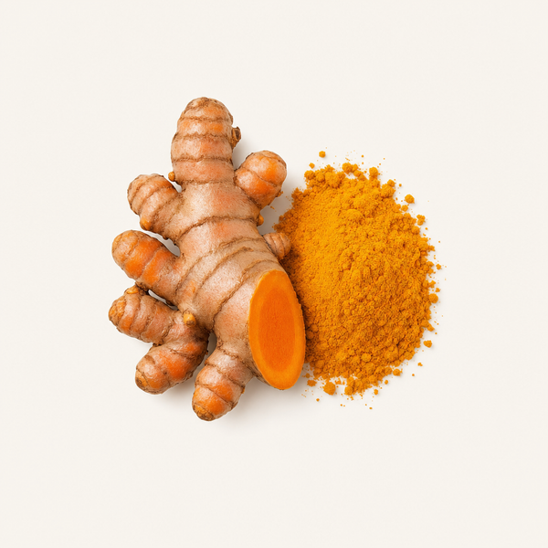 Extrait de rhizome de curcuma 95%